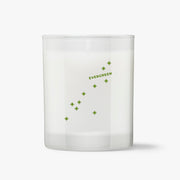 EVERGREEN - Balsam Fir & Cedar