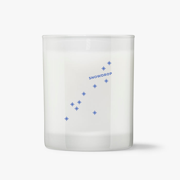 SNOWDROP - Wild Ivy & Mint